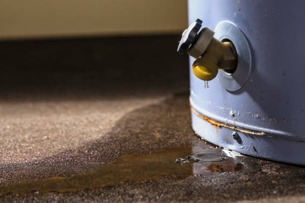 Best Mold removal after water damage  in Plum, PA