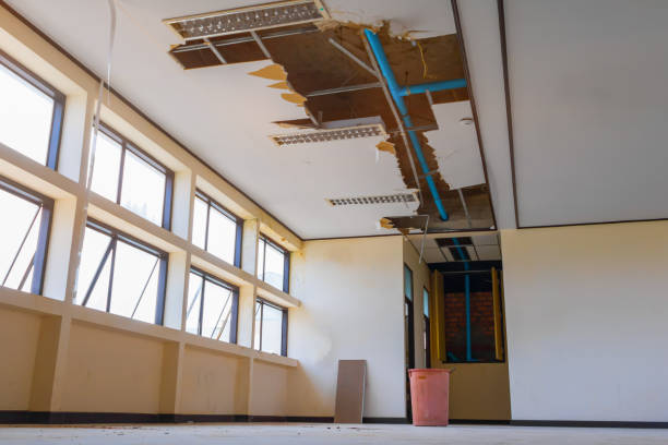 Best Flooded house restoration  in Plum, PA