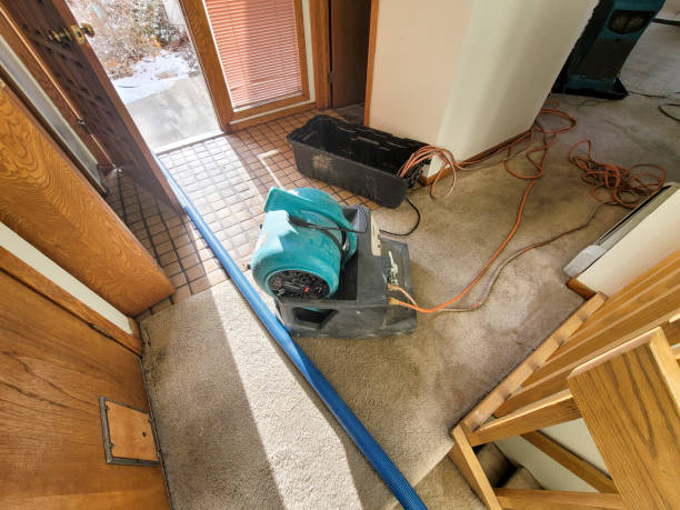 Best 24/7 water damage repair  in Plum, PA