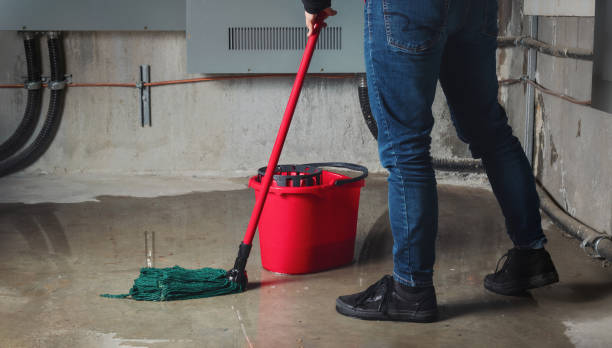 Best Water damage repair service  in Plum, PA