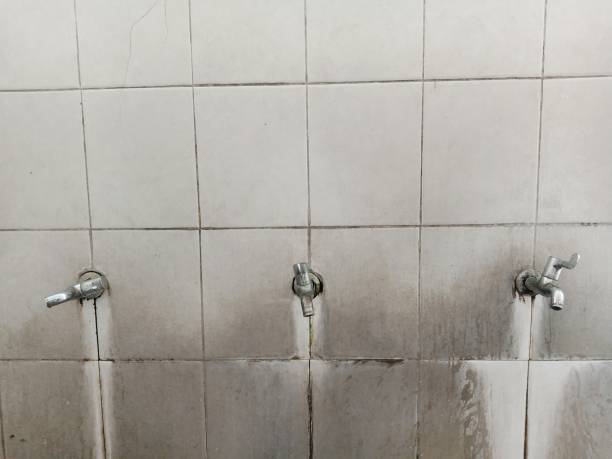 Trusted Plum, PA Water damage restoration Experts