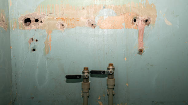 Best Flood restoration services  in Plum, PA