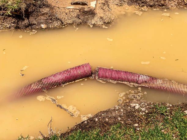 Best Water damage cleanup near me  in Plum, PA