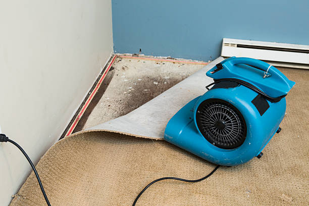 Best Carpet water damage restoration  in Plum, PA